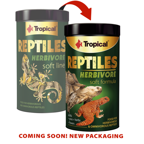 Tropical Reptiles herbivore soft line