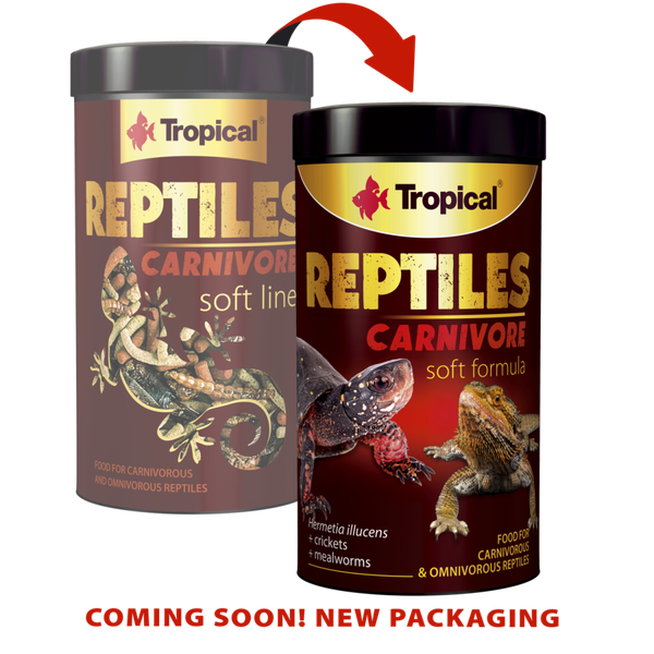 Tropical Reptiles carnivore soft line